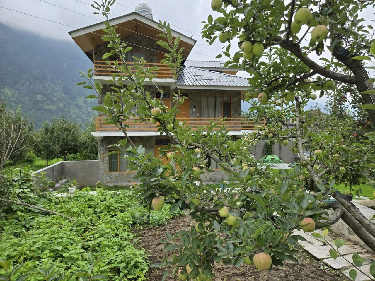 WhatsApp Image 2025-08-25 at 17.10.50