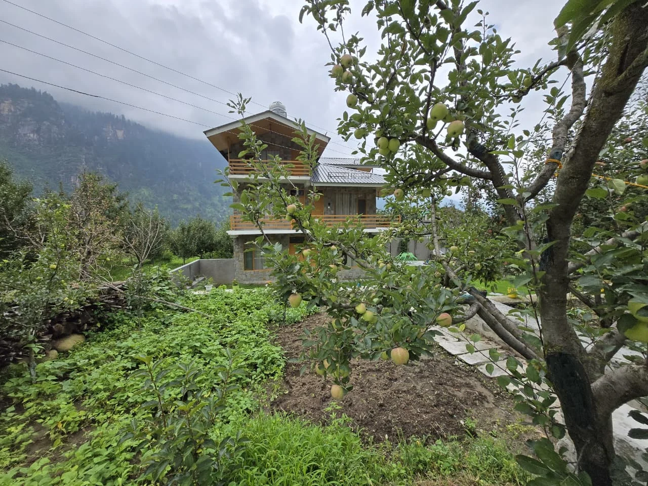 WhatsApp Image 2025-08-25 at 17.10.51