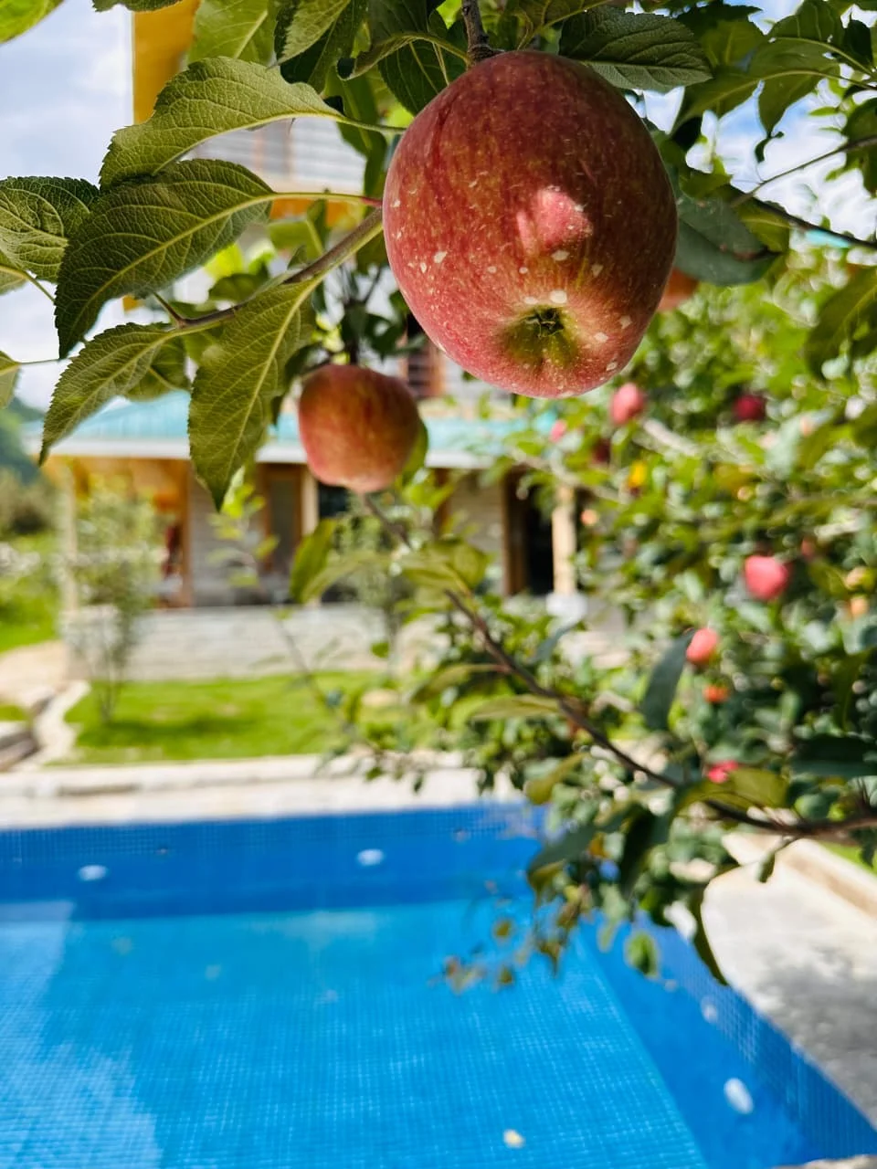 WhatsApp Image 2025-08-23 at 17.52.11