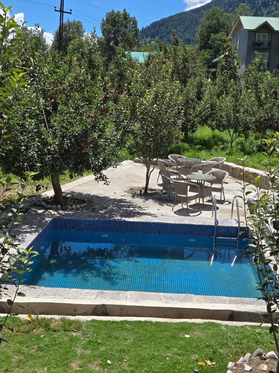 WhatsApp Image 2025-08-25 at 16.55.25