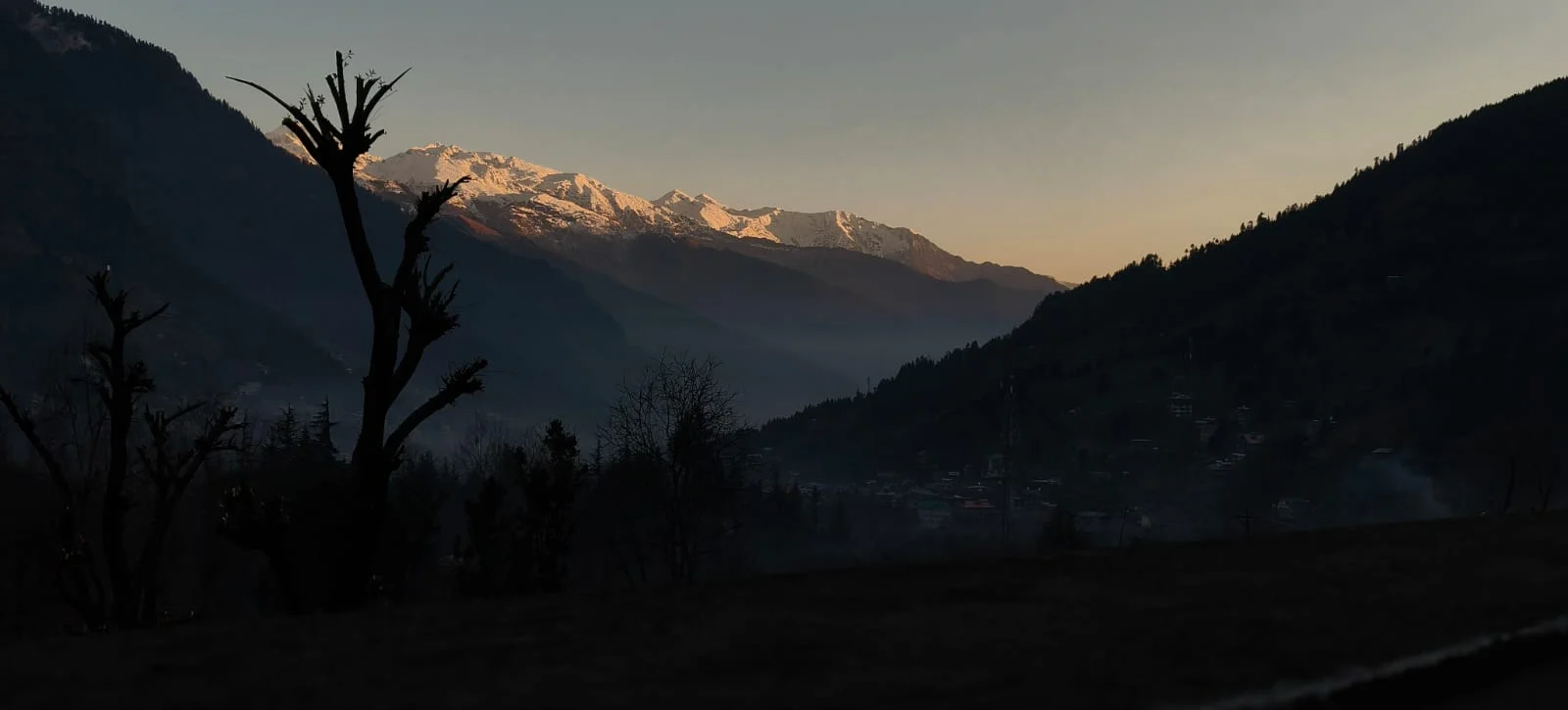 8682a5ed-0b93-44dc-b9d6-2cd7f5e0d87f