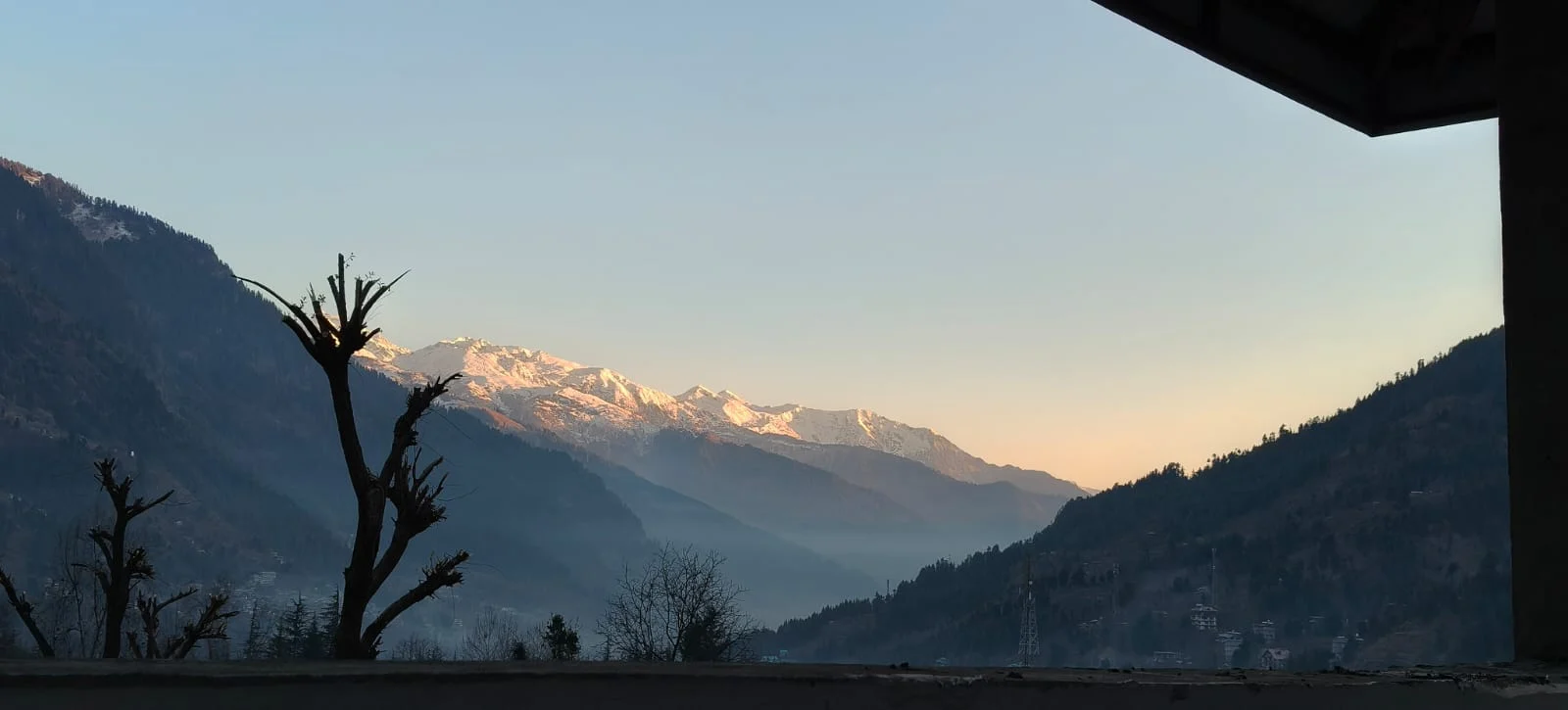 dfe51f66-799e-4256-95d8-d33c21c977f4